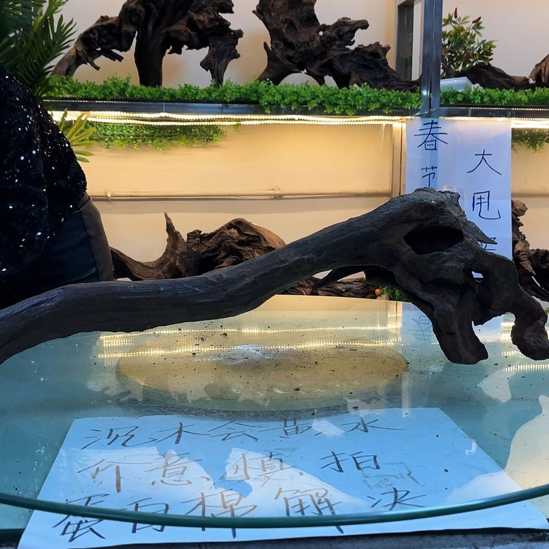 柚木沉木鱼缸造景