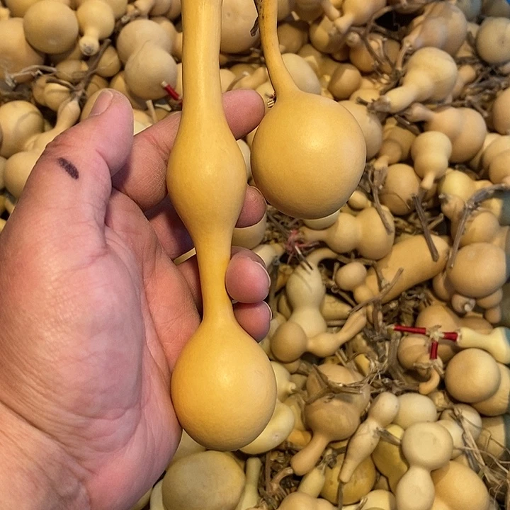 平*精品葫芦手把葫芦31