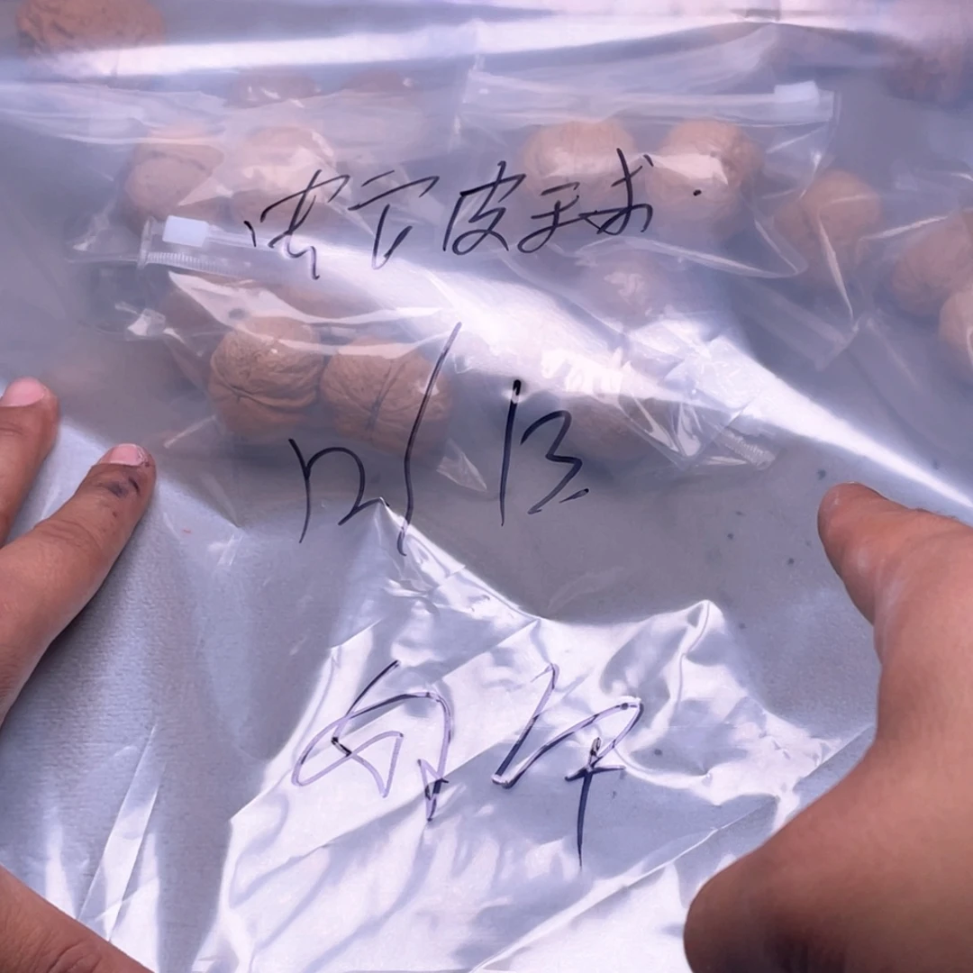 核桃手串/手链蛇头球。