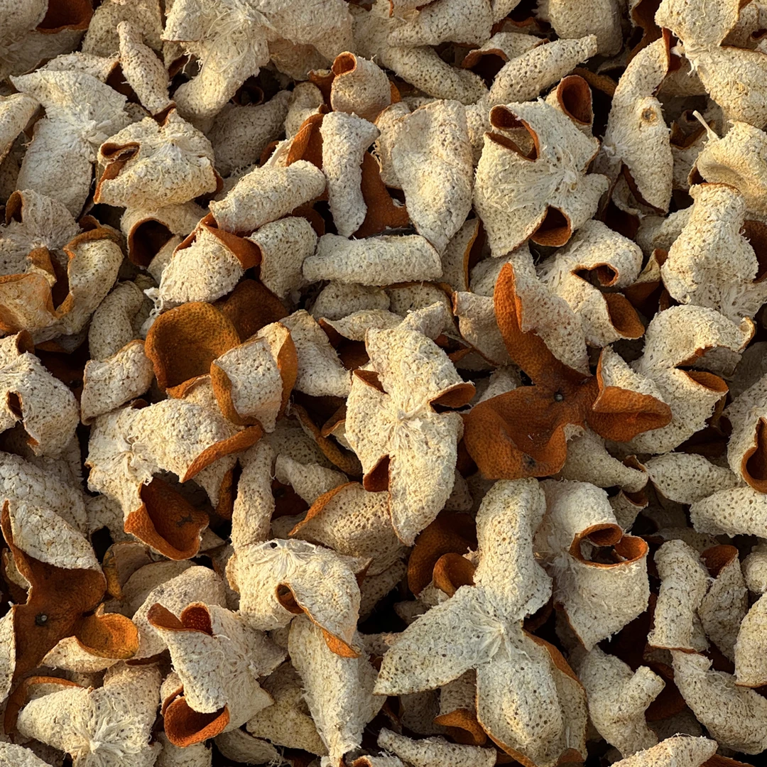 2013股东福利新朋友不要拍