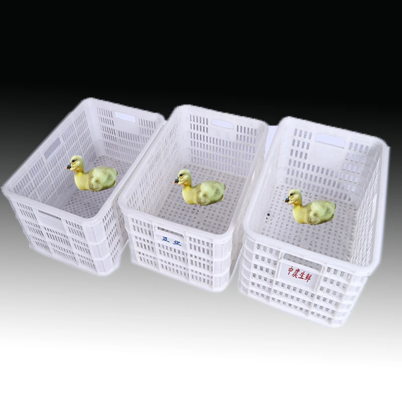 鹅框塑料运输框的长途运输塑料鹅蛋框水果框顺丰包邮