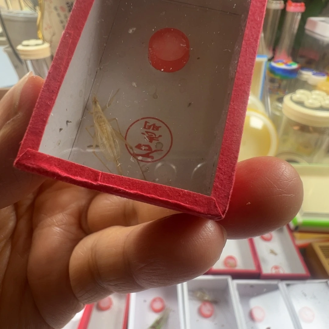 蟋蟀一只石老师杂青