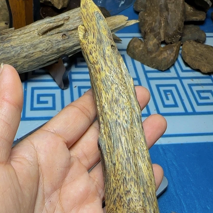 木质母树虎斑紫奇虫漏36克