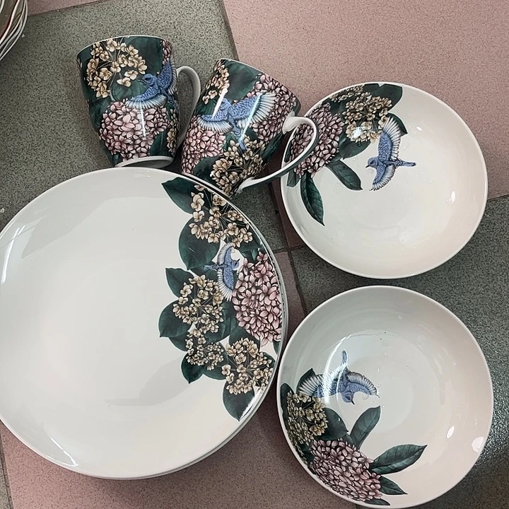 T***艳新骨瓷4个10.5英寸浅盘2个7.5英寸窝盘2个马克杯微瑕不退换