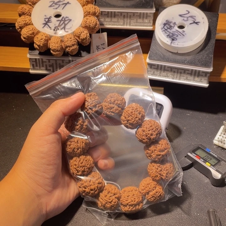 我***涯手串金刚菩提这个