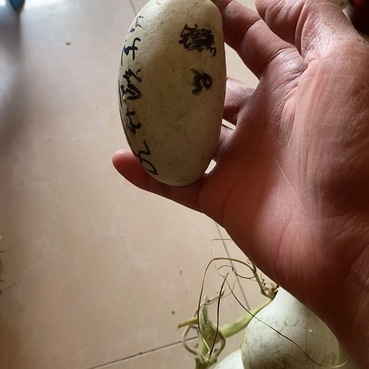 木***生青皮腰子葫芦手把件摆件