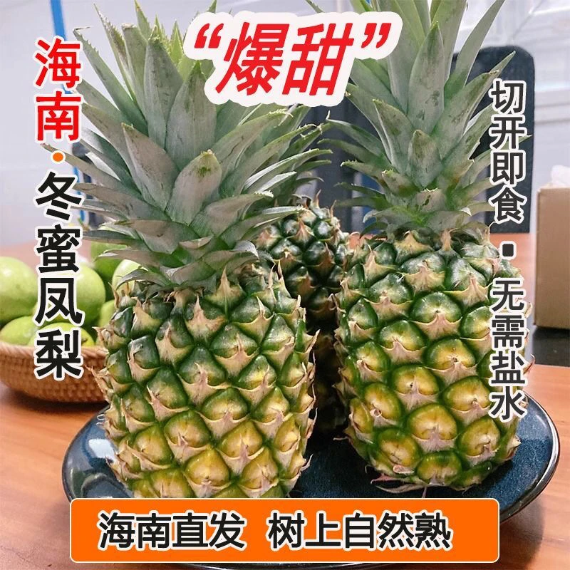 蜜甜冬蜜凤梨海南热带水果青皮可食口感蜜香蜜甜新鲜采摘新鲜发货