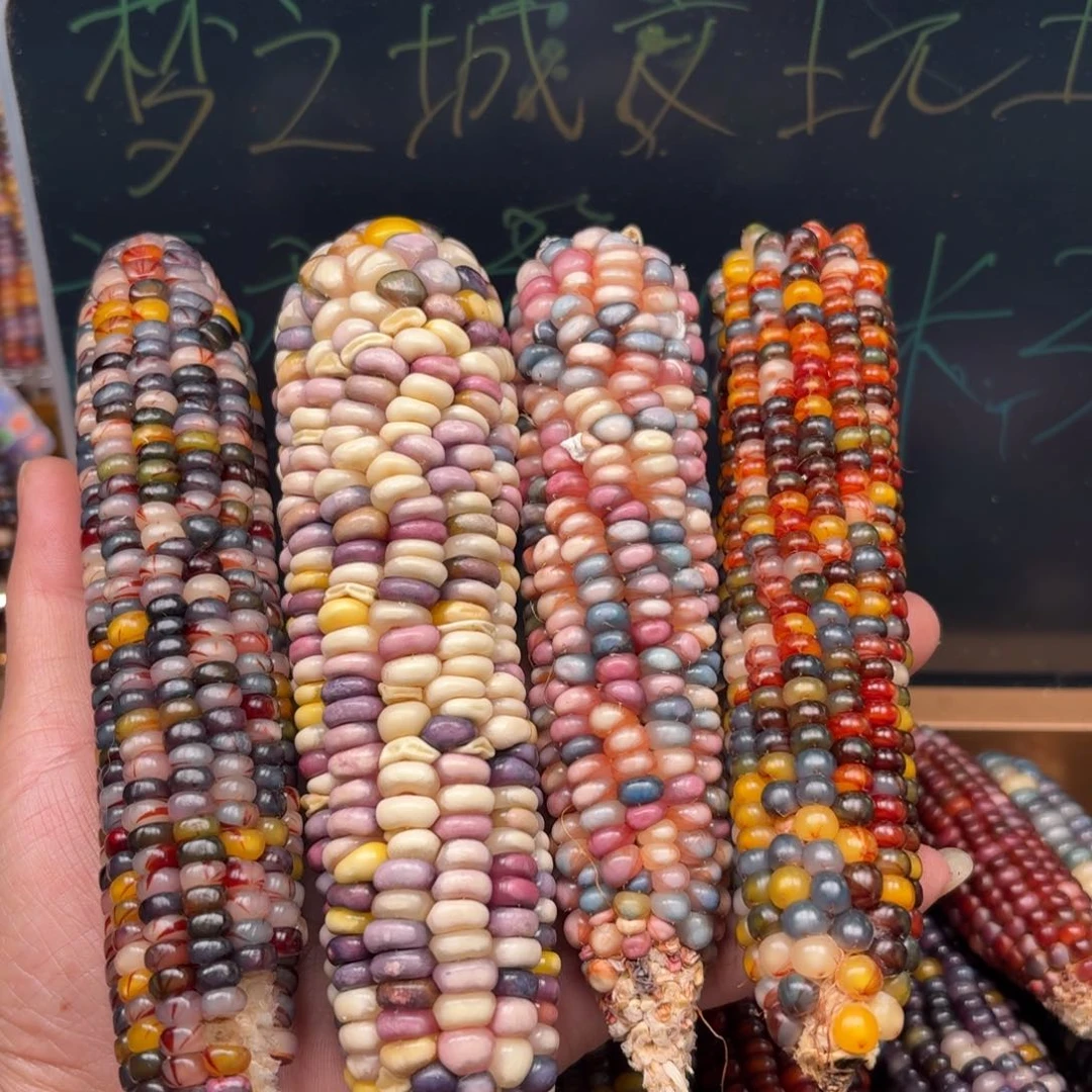 柏香籽/百香籽吊坠煦*