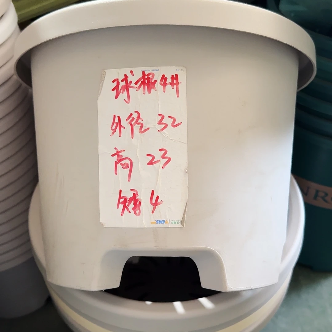 球根4#口径32无拖灰白5个微瑕