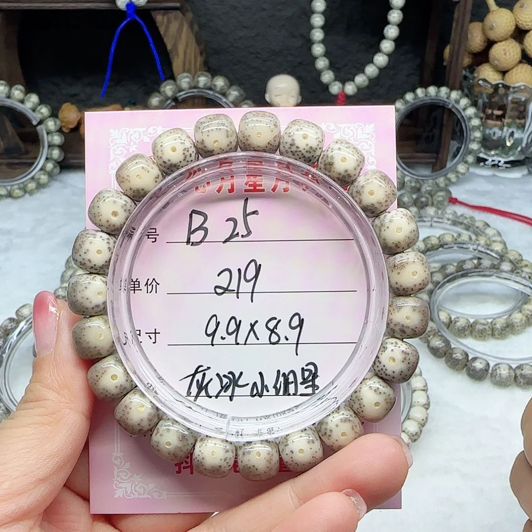 心月星月菩提一号B25