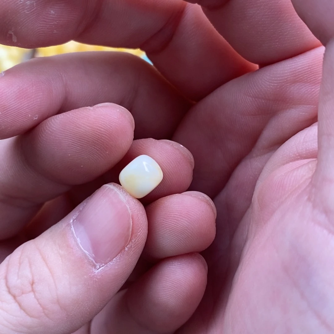 大***兵蜜蜡未镶嵌裸石配饰