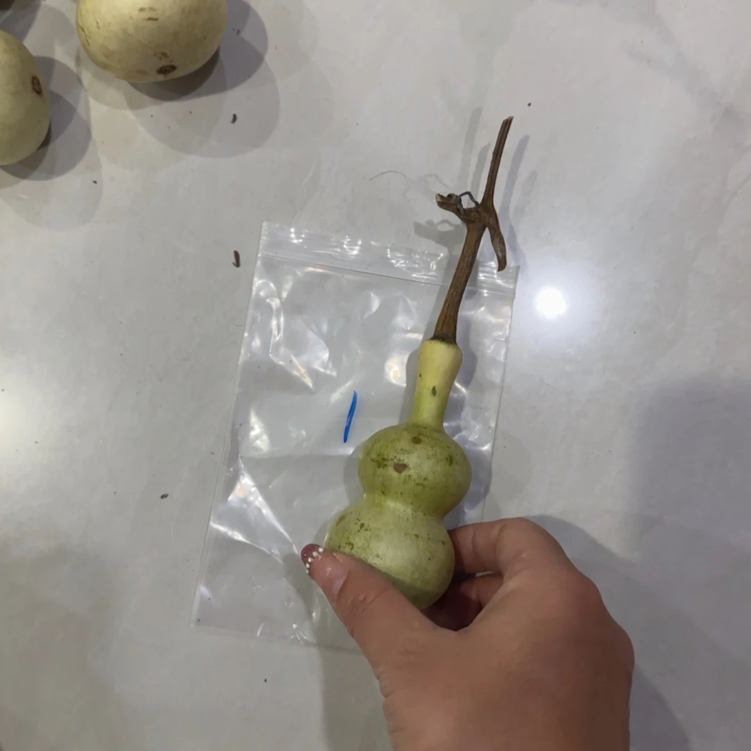 用***狼青皮不包成青皮不包成