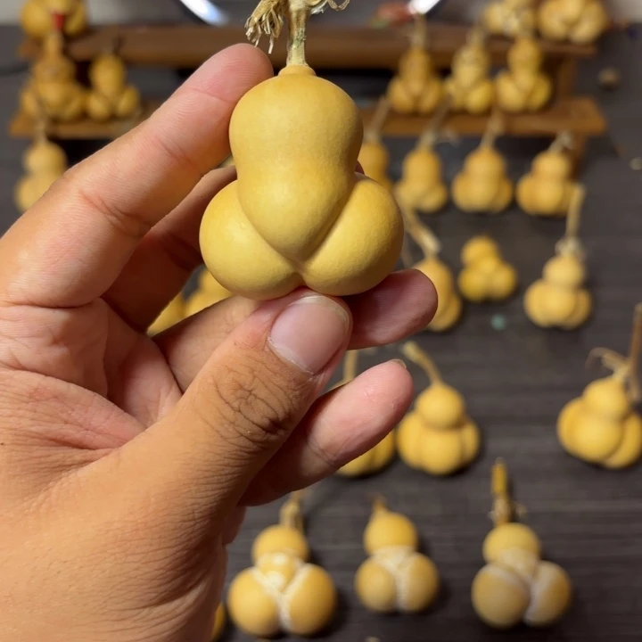 撸****葫芦葫芦葫芦葫芦