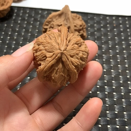 一**秋天然浮黄三棱一个