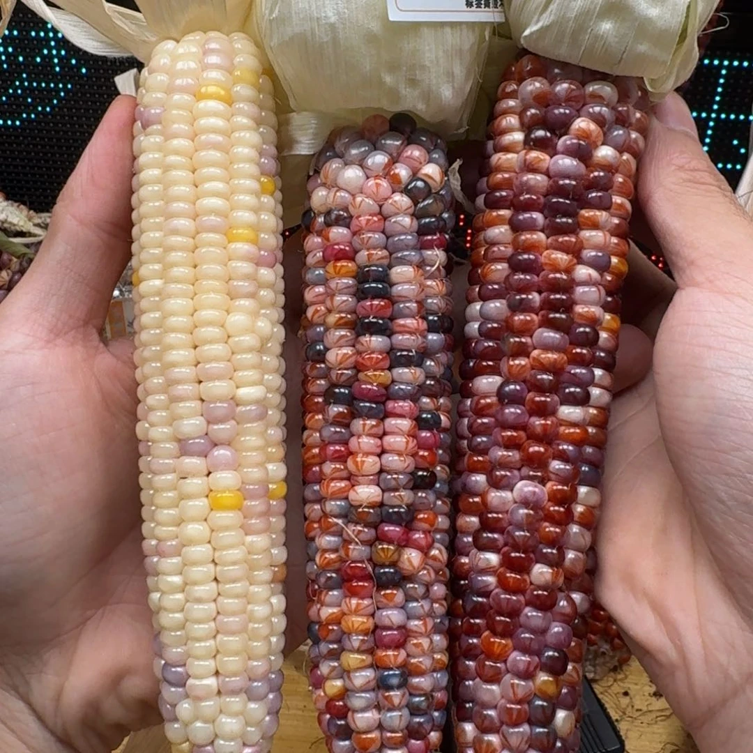 怼***麻柏香籽/百香籽吊坠