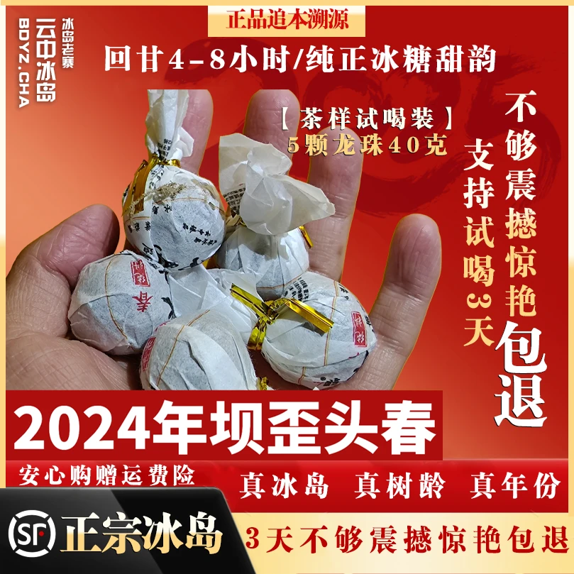 2023-25冰岛坝歪大树头春龙珠5泡茶样试喝装零农残激素有机产品