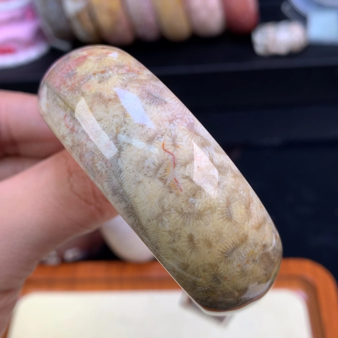硅化珊瑚（珊瑚玉）未镶嵌颈饰54号56.6圈虫纹