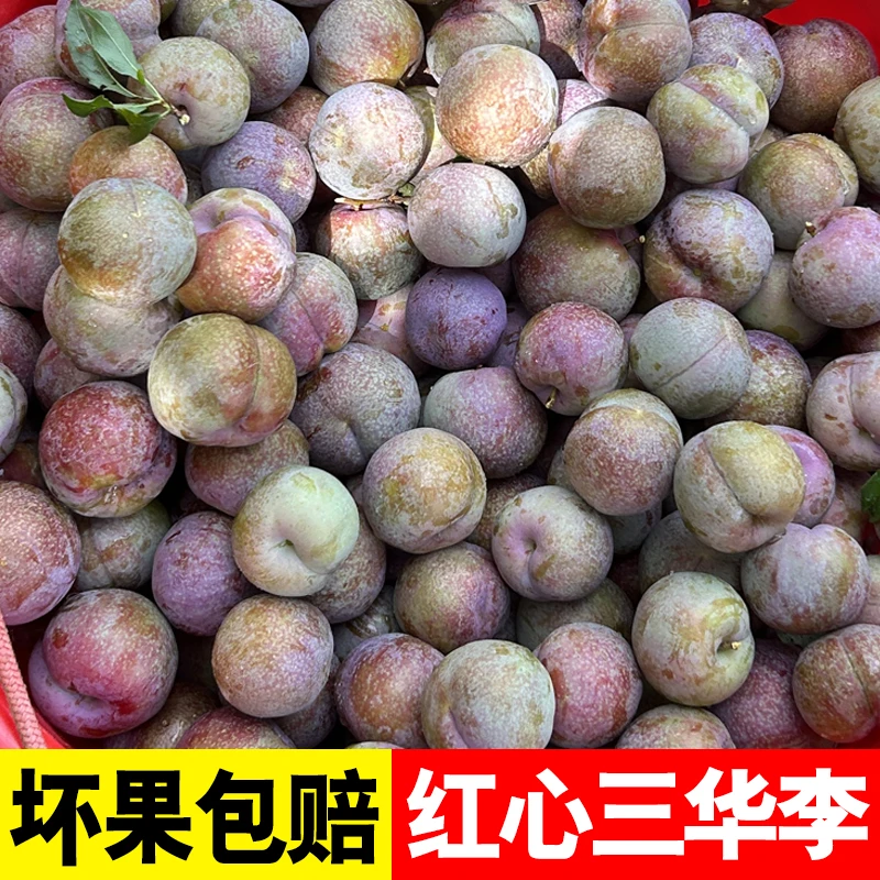 【尝鲜价】头茬新鲜现摘信宜红心三华李2斤