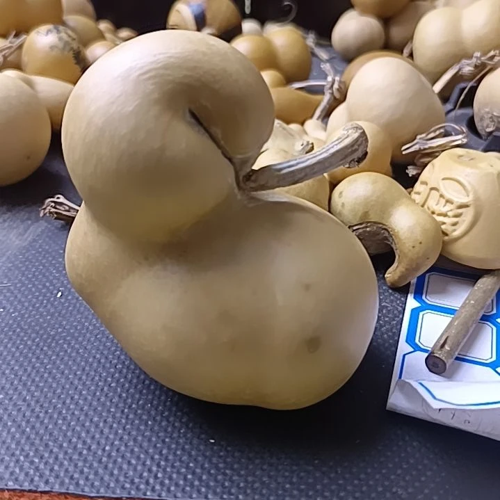 敬*全品无瑕厚皮异形葫芦