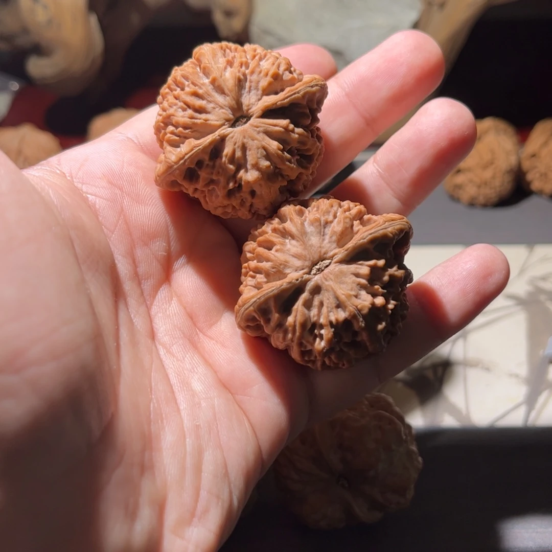 那***子吊坠文玩核桃44珊瑚鼎