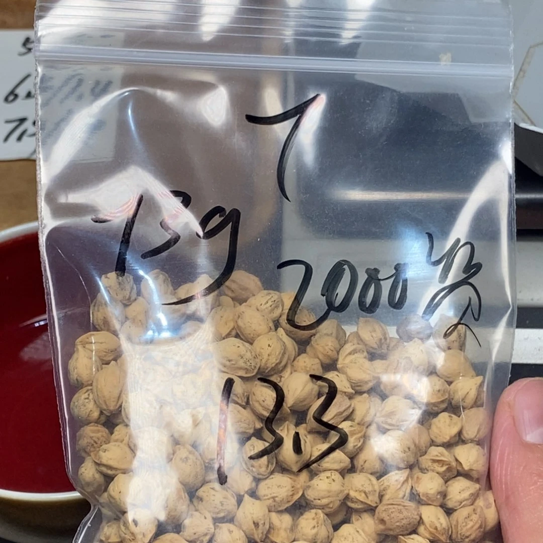 柏香籽/百香籽吊坠N***Y