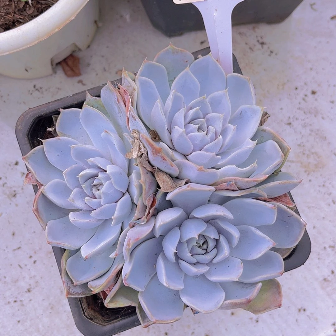 *****00000000000000148