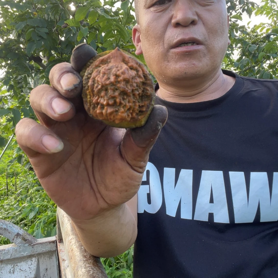 文玩核桃吊坠官帽60青皮2个包熟不退