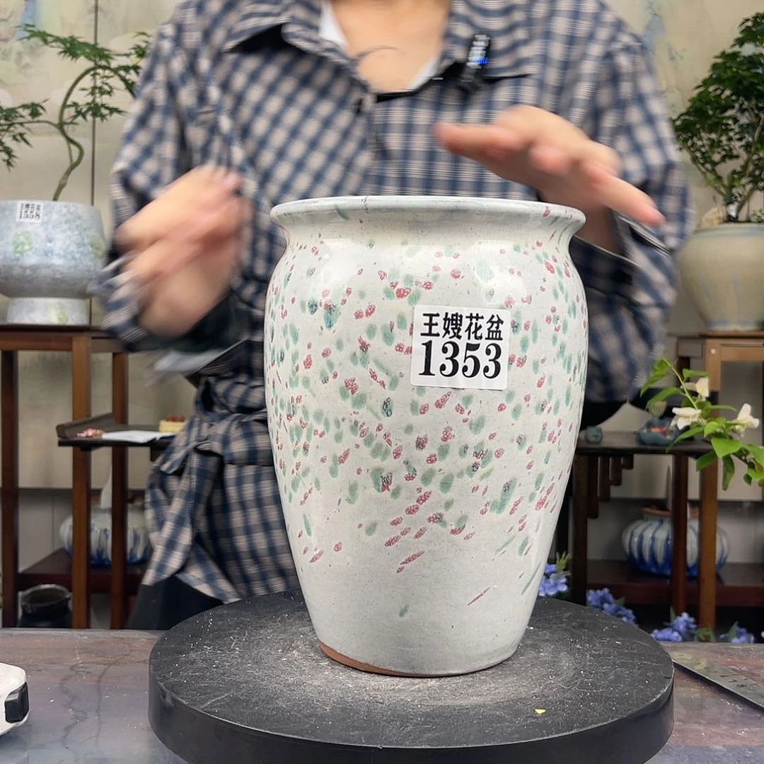 表弟花盆直播0608-1353