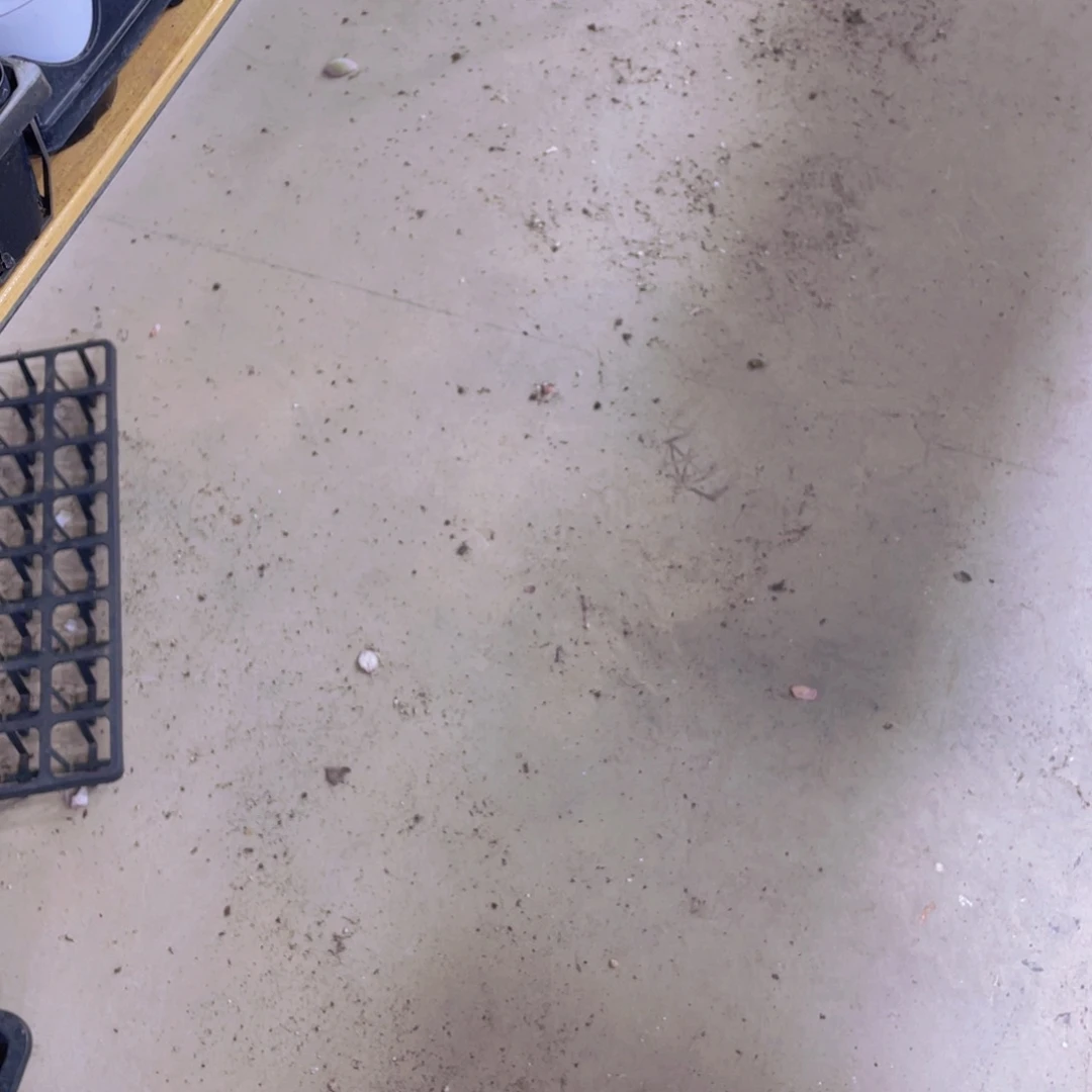 石榴籽星影组合七颗 找老王