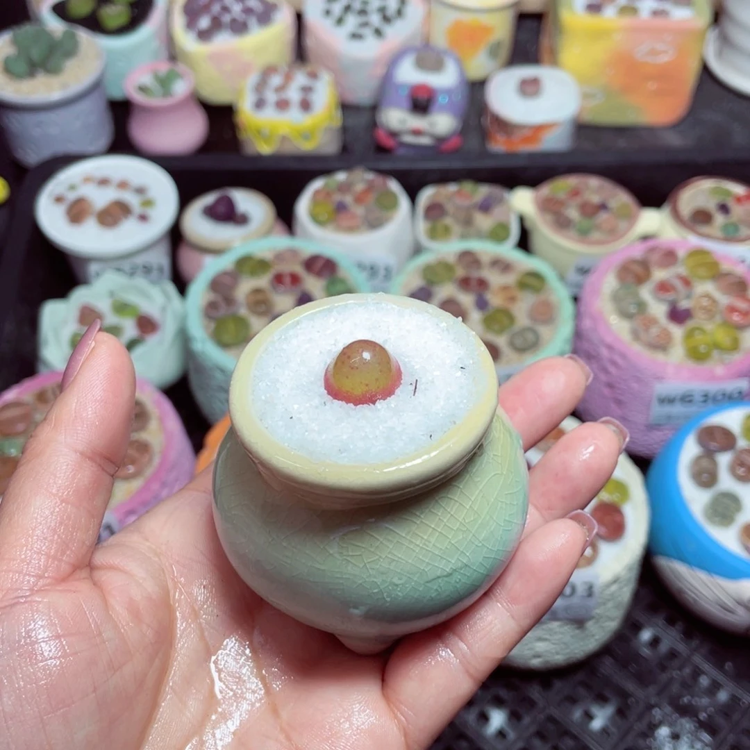 w6306 -零下地区拍保温箱-15支持寄养