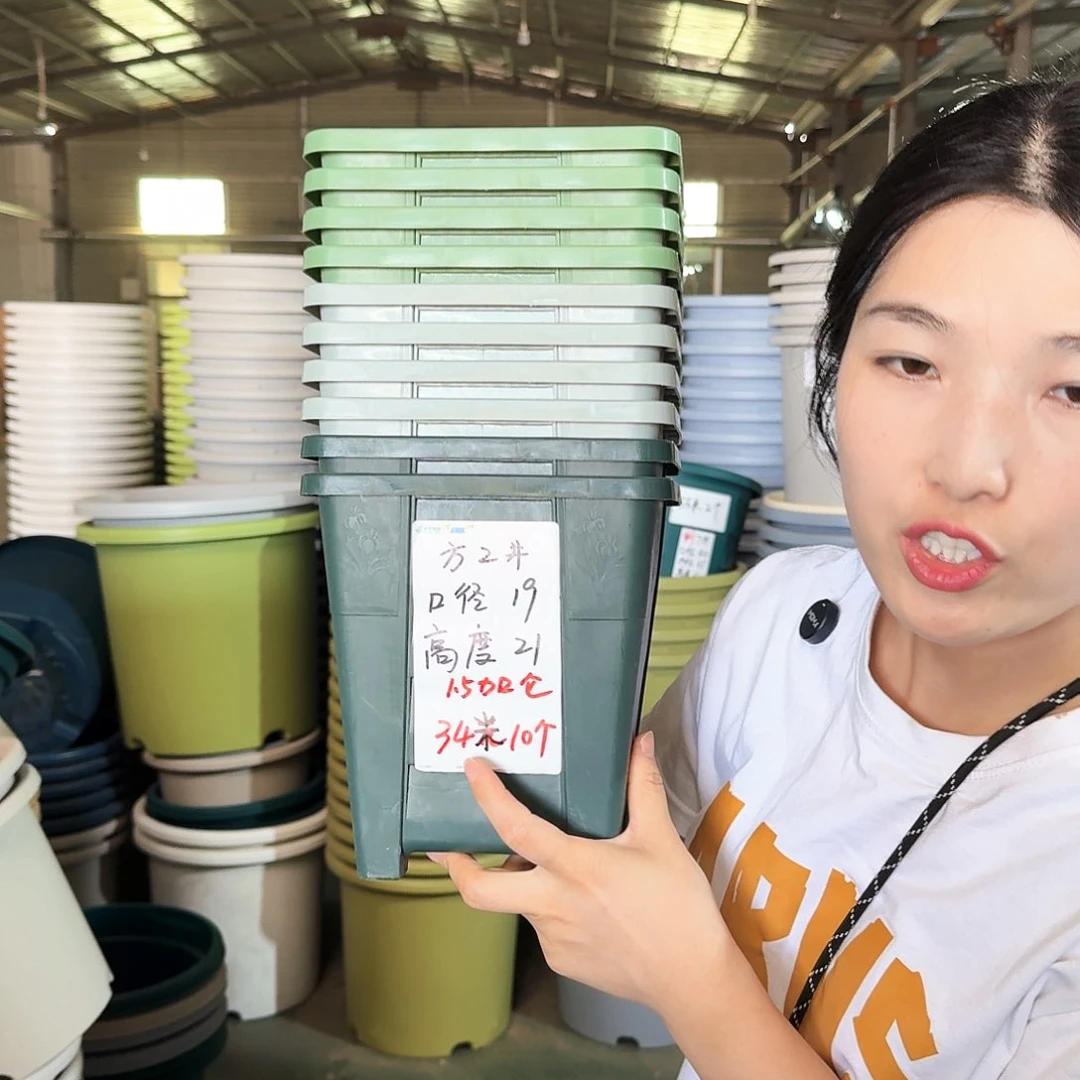 方盆2#无拖军绿色10个