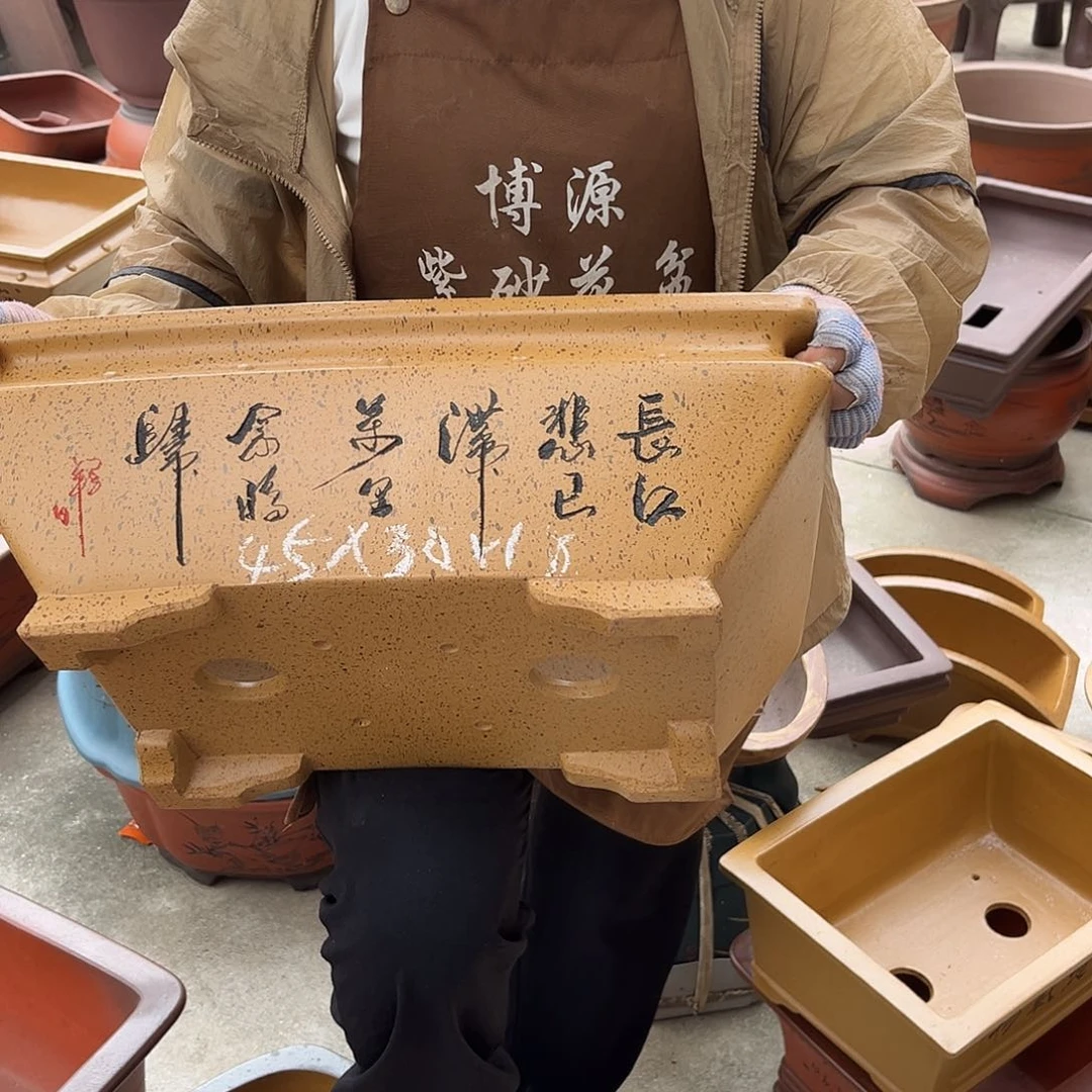 紫砂花盆盆景艺术