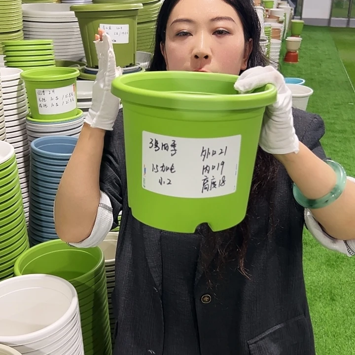 特价3号四季口21高18果绿20支无托