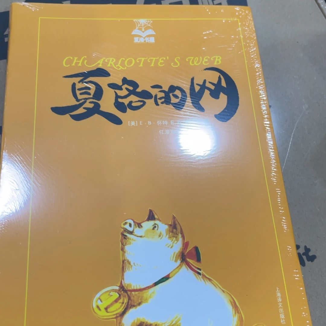 复络的网网网网网网