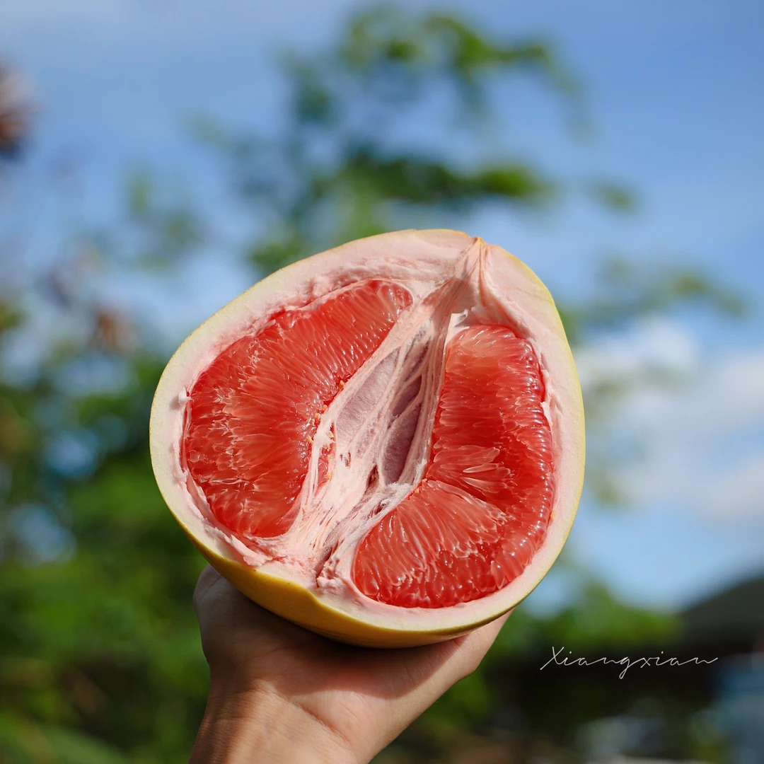 平和正宗琯溪三红蜜柚新鲜采摘多汁香甜水果