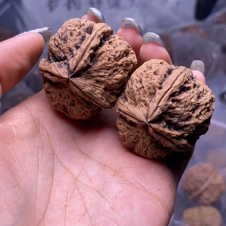 把件文玩核桃云南野生铁核桃57号39mm
