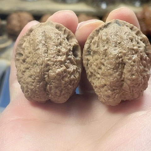 文玩核桃把件合十印带彩磕尖38