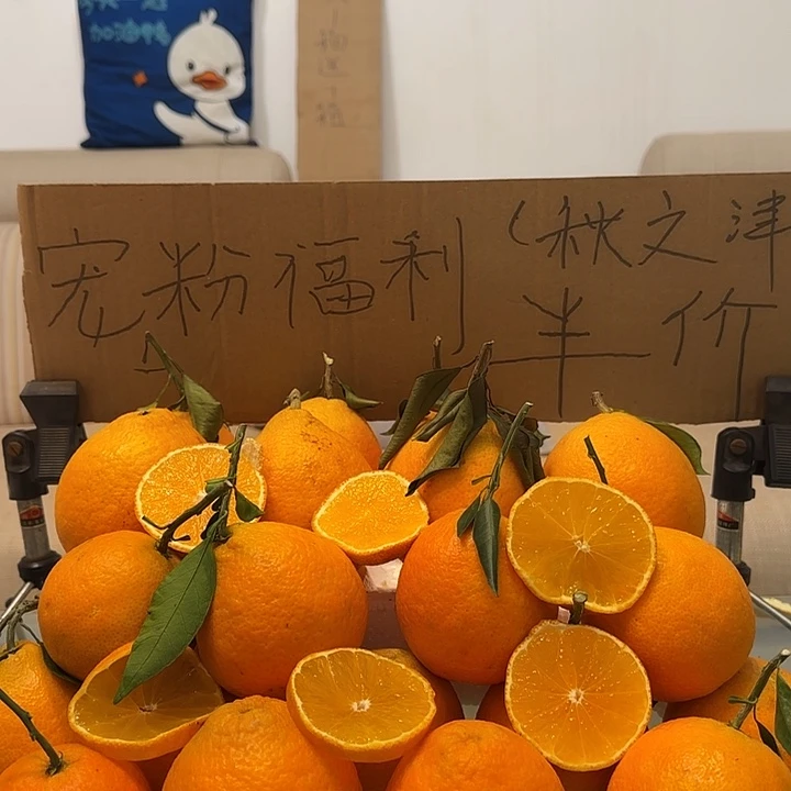 甜橙果冻橙1号链接拍俩单半价