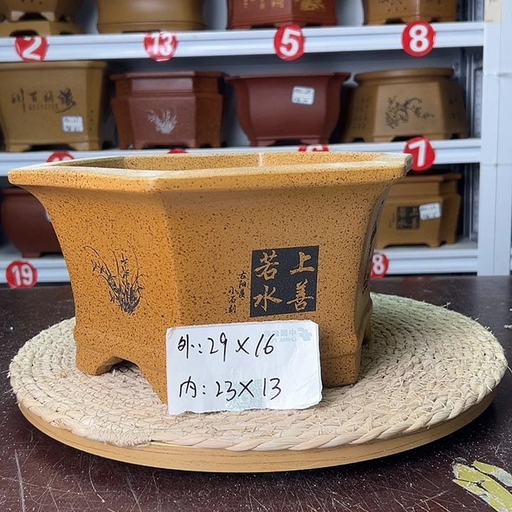 紫砂花盆蛇年大吉