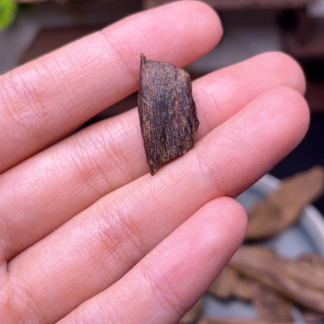 用***30.7克海南莺歌岭牙沉绿棋楠