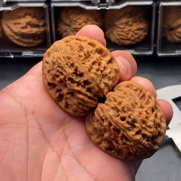 木质类41尺寸全家福南疆