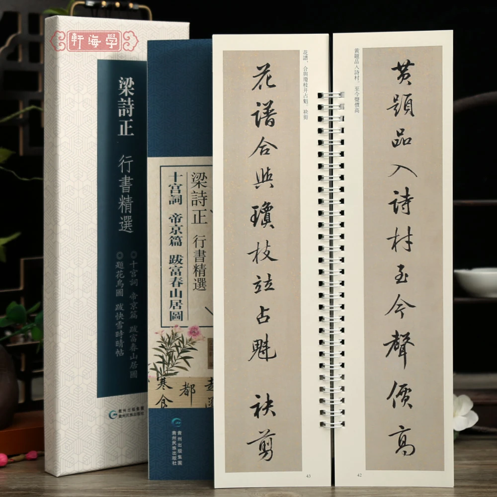 学海轩共2本5帖梁诗正行书选碑帖近距离临摹练字卡题花鸟图跋快雪