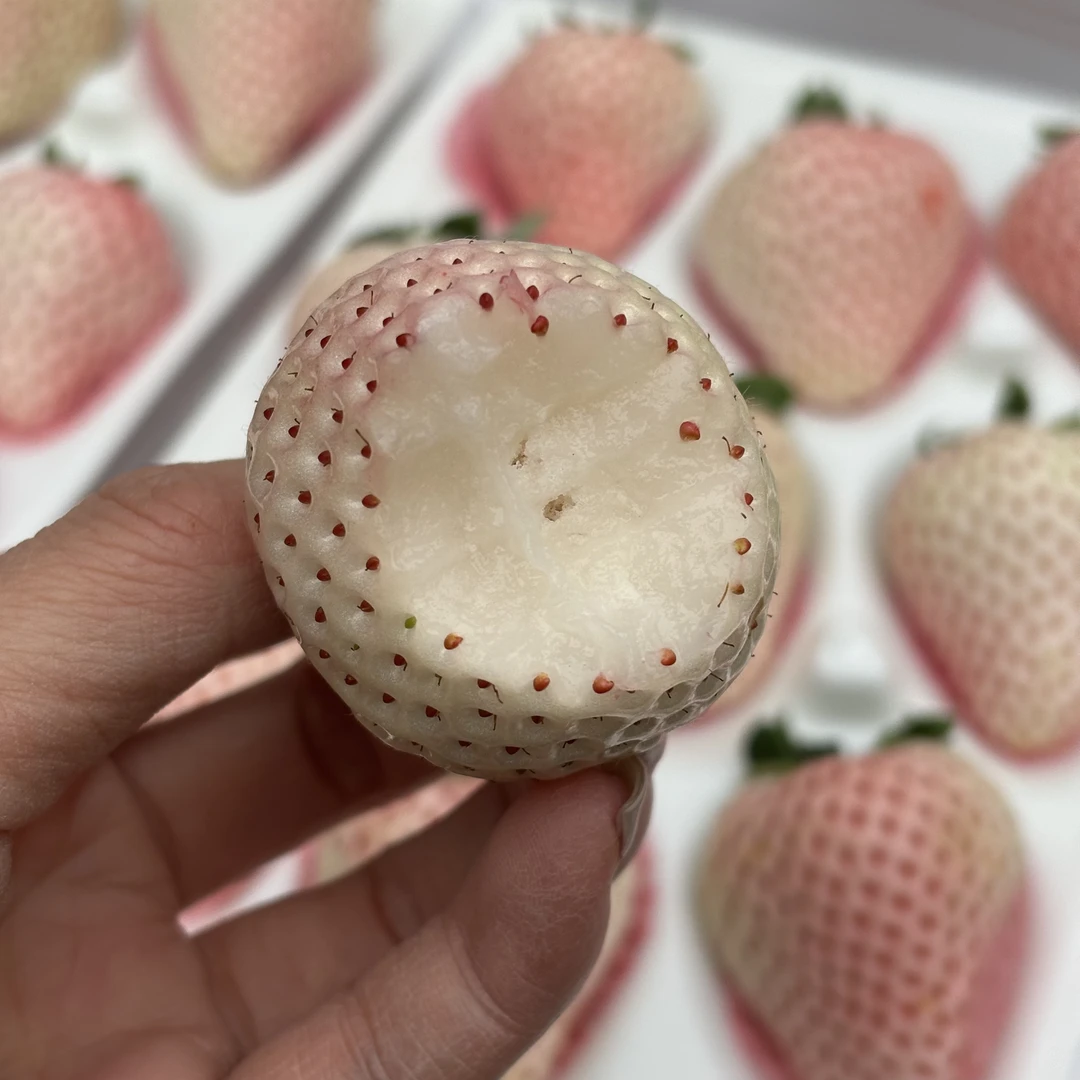 淡雪草莓白草莓 新鲜现摘香甜水果风味浓郁 2小盒