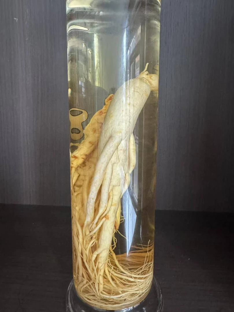 原切大块料/泡酒料/现拍现装