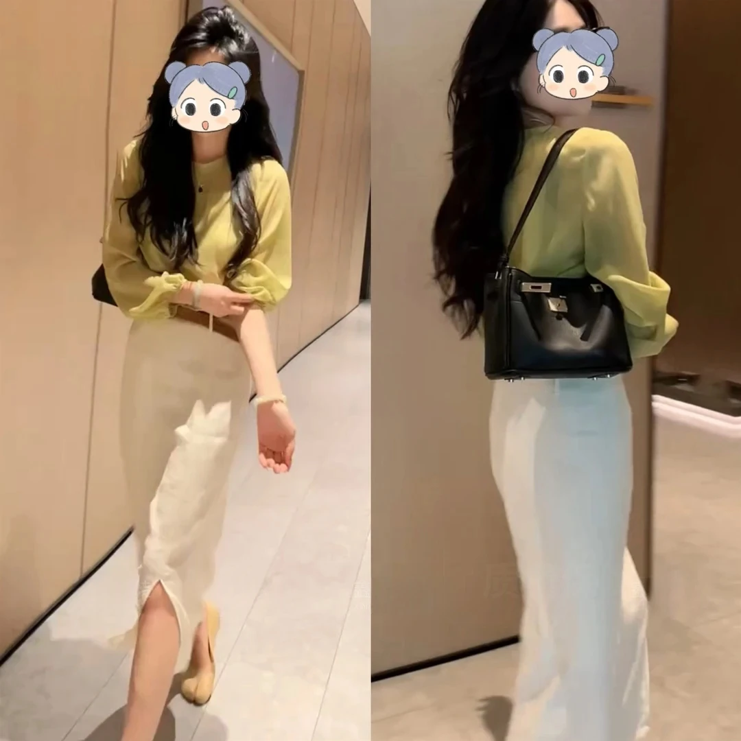 夏季时尚显瘦气质网红洋气长袖上衣半裙女装夏装套装2025新款爆款