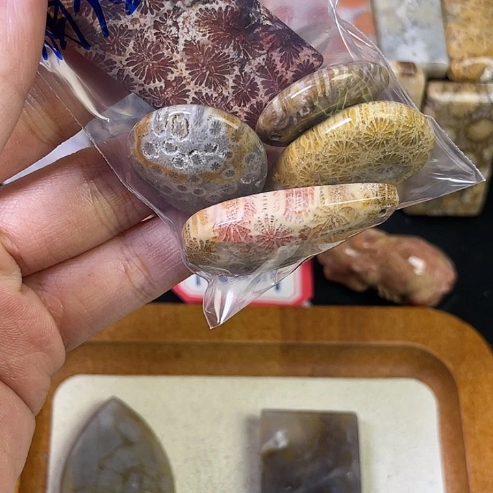 硅化珊瑚（珊瑚玉）珠宝金石合金相**光