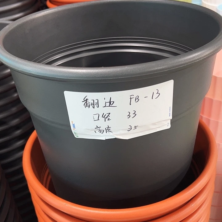 特价翻边口33高35陶红无托5只