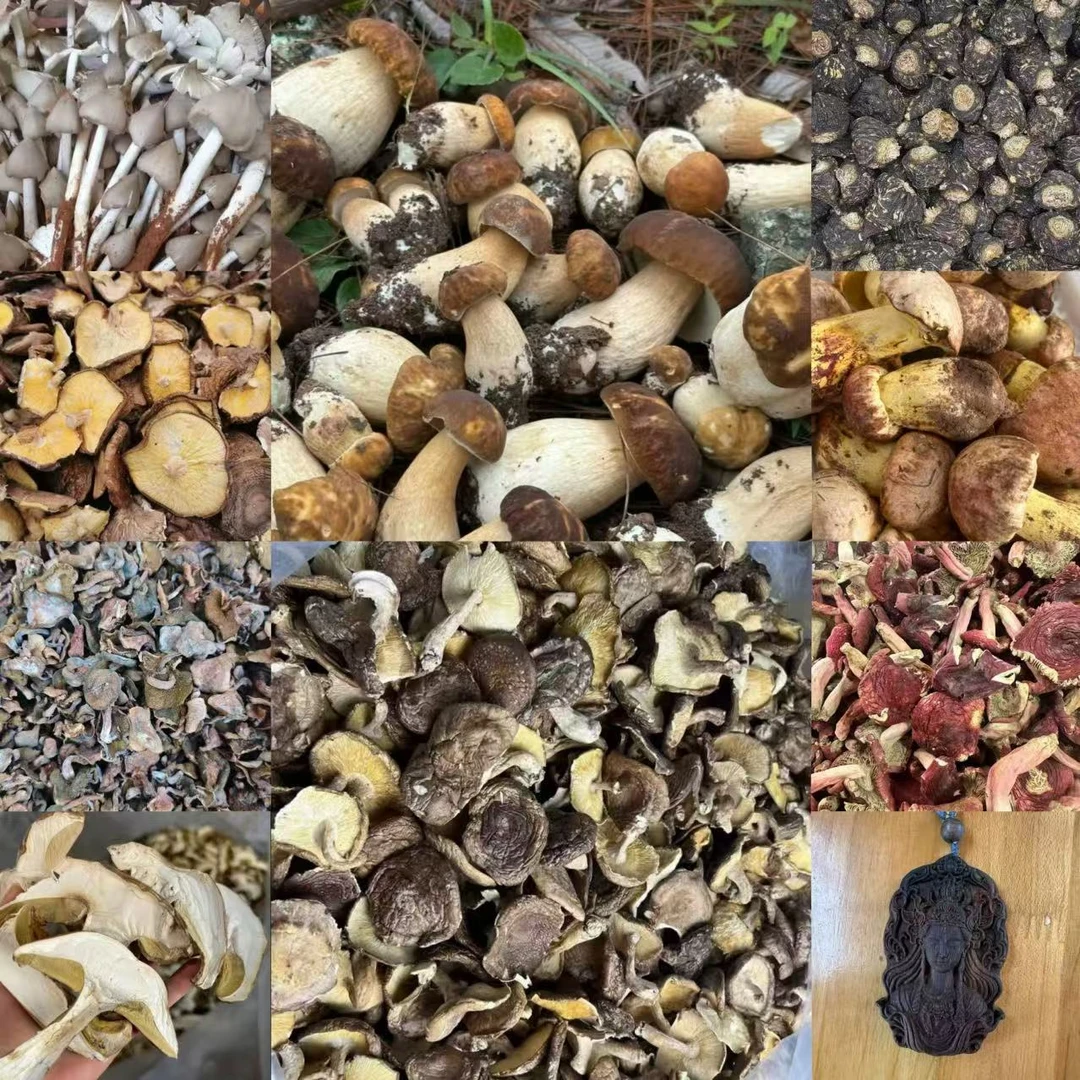 ADS074土特产菌/多样性发货