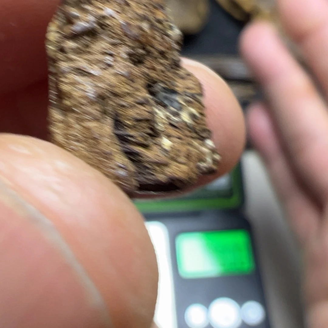 虎***g沉香沉香碎屑海南沉水包头0.7g