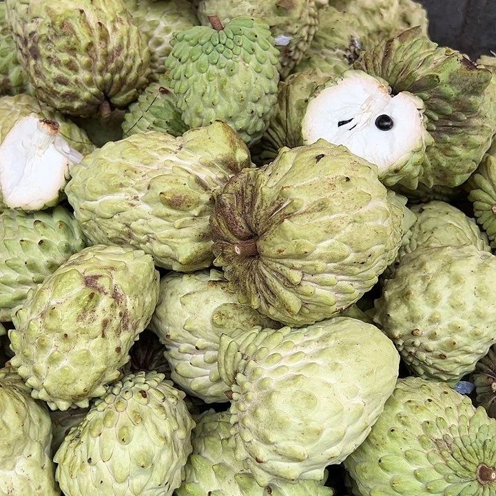 中国大陆释迦果3斤